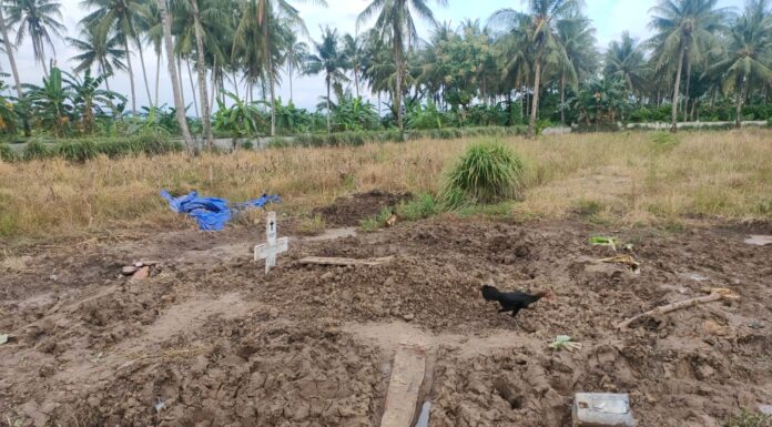 Kuburan Covid-19 di Pinrang Dibongkar, Kadinsos: Itu Makam Orang Tua Salah Satu Pengusaha Covid-19