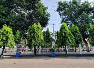 Rujab Bupati Pinrang