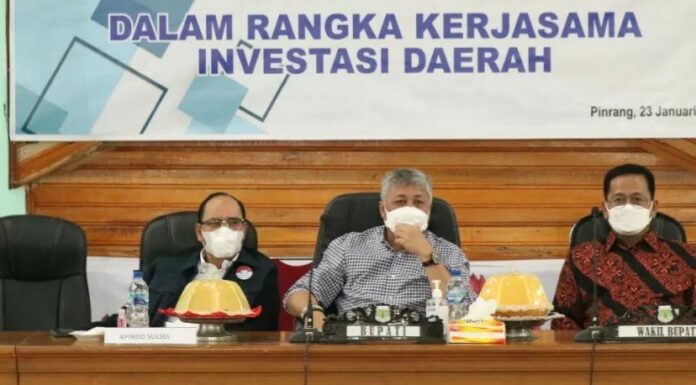 Apindo dan Deit Lirik Potensi Investasi di Pinrang pinrang
