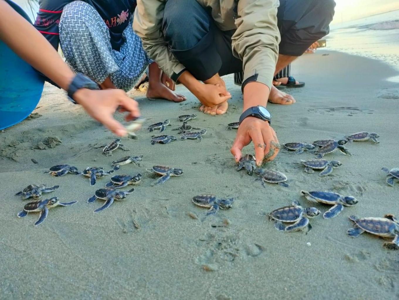 Desa Wisata Wiring Tasi di Pinrang Masuk 100 Besar pada Ajang ADWI 2022