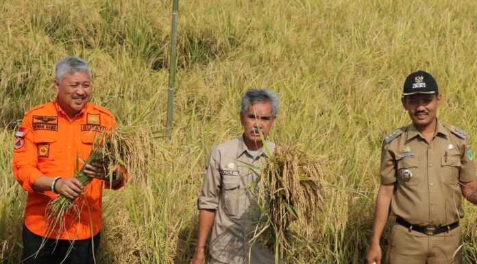 Terkait Program Simurp di Pinrang, Bupati Bilang Begini pinrang