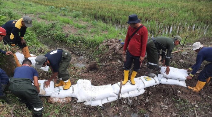 Warga di Pinrang Gotong-Royong Lakukan Perbaikan Tanggul pinrang