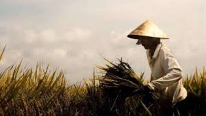 Terkait Demo Pembukaan Saluran Irigasi, Dinas SDA BK Pinrang Sebut 1 Juni Pintu Air Dibuka Irigasi