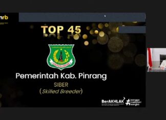 Pinrang
