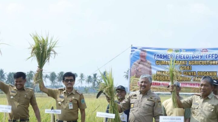 Kemarau
