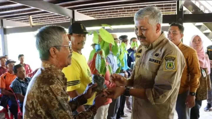 Ini Upaya Pemkab Kembalikan Kejayaan Kakao di Pinrang Kakao