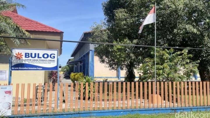 Panen Raya Pusing Raya, Bulog Pinrang Dinilai 'Lambat Loading' pinrang