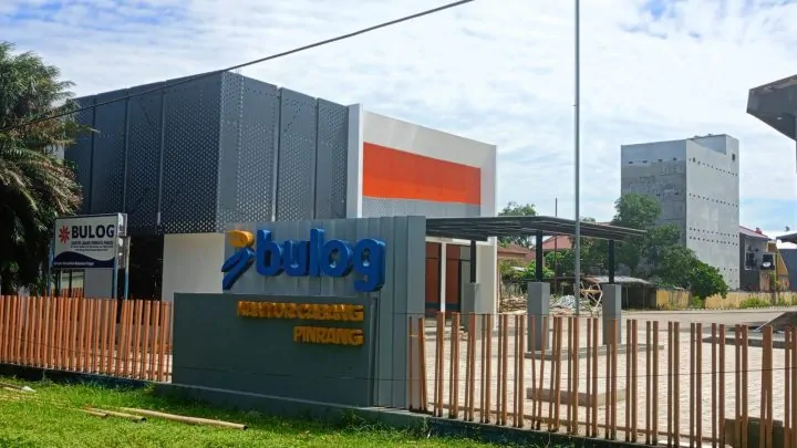 Panen di Pinrang, Petani Tancap Gas Bulog Injak Rem pinrang