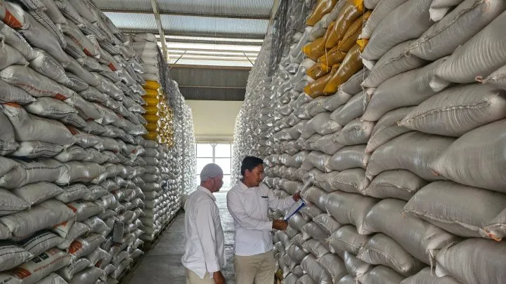 Bulog Pinrang Lampaui Target, Serapan Gabah Tembus 105 Persen pinrang