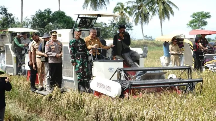 Performa Pertanian Pinrang Moncer, Produksi Padi 2025 Tembus 688 Ribu Ton GKP
